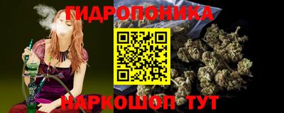 гашик Кунгур