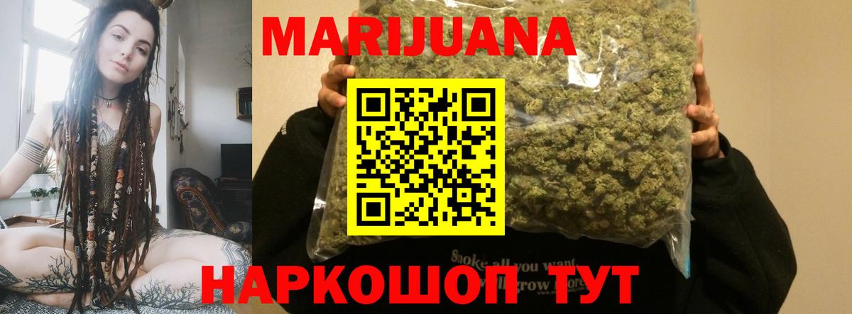 Бошки марихуана план  Вход с VPN  Камышлов  Канабис план  Марихуана индика  Марихуана тримм 